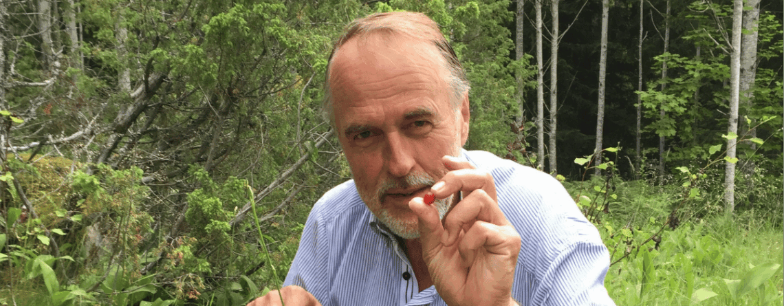 Digital Grannsamverkan